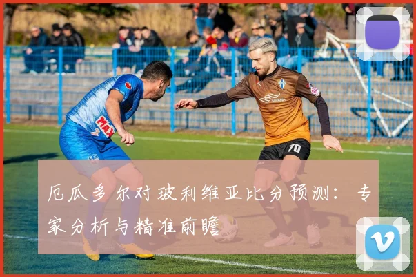厄瓜多尔对玻利维亚比分预测：专家分析与精准前瞻