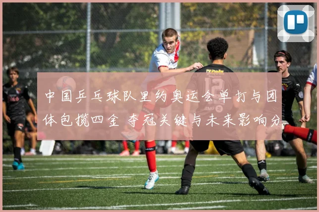 中国乒乓球队里约奥运会单打与团体包揽四金 夺冠关键与未来影响分析