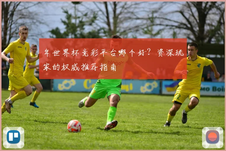 年世界杯竞彩平台哪个好?资深玩家的权威推荐指南