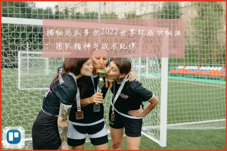 揭秘厄瓜多尔2022世界杯成功秘诀：团队精神与战术纪律