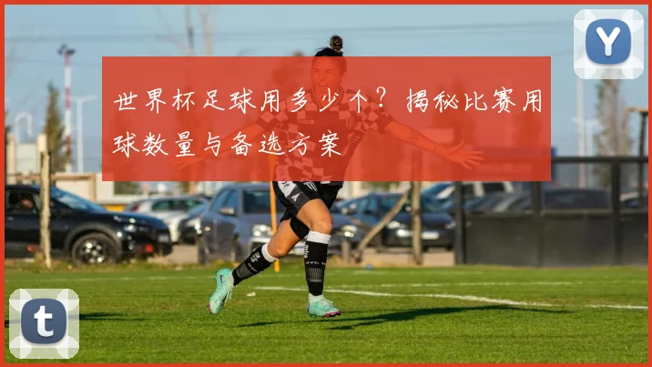 世界杯足球用多少个?揭秘比赛用球数量与备选方案