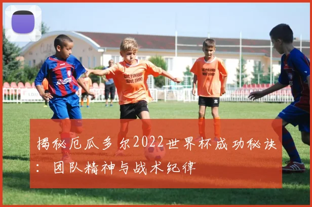 揭秘厄瓜多尔2022世界杯成功秘诀：团队精神与战术纪律