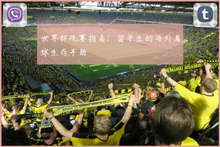 世界杯观赛指南：留学生的海外看球生存手册