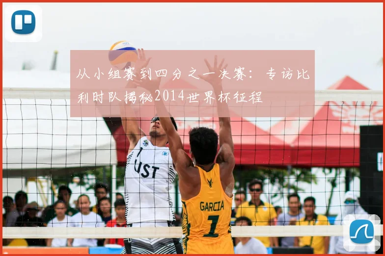 从小组赛到四分之一决赛:专访比利时队揭秘2014世界杯征程