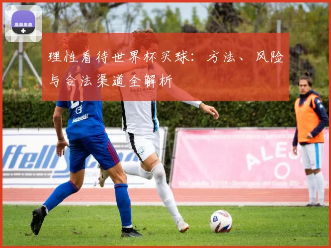 理性看待世界杯买球：方法、风险与合法渠道全解析
