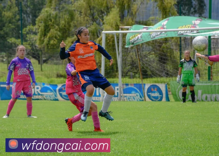 数据防护可视化